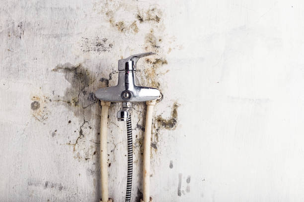 Best Post-Flood Mold Remediation in Lancaster, WI